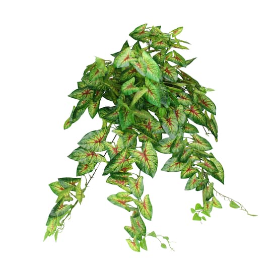 Green and Red Caladium Spring Floral Hanging Bush By Northlight | 39.5" x 17" x 12" | Michaelsยฎ